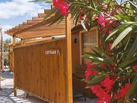 Taïga Conil