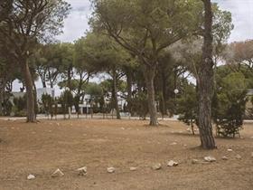 Taïga Conil