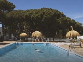 Taïga Conil