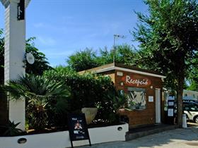Roca