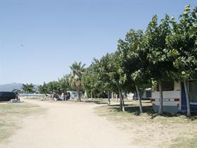 Playa Y Fiesta